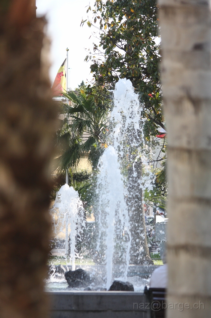 EOS 40D02_05_20120113.JPG